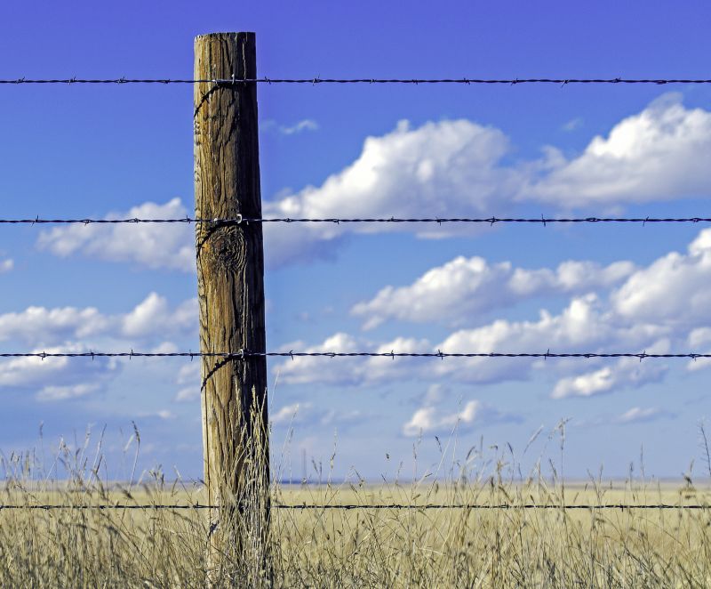 Wire Fence Installation